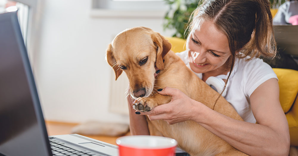 woman with dog at computer