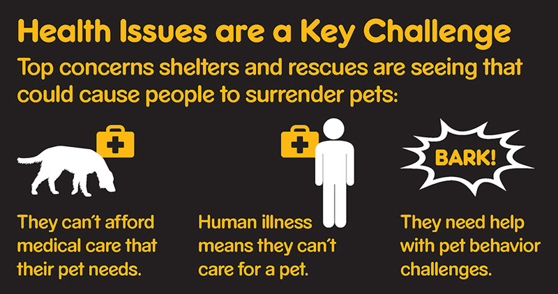 Graphic showing that top reason people might surrender pets are medical costs for pets, human illness, or needing help with pet behavior