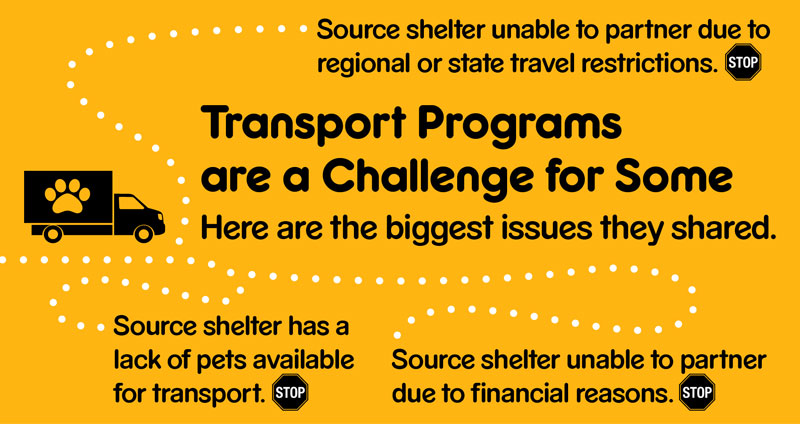 Graphic showing top issues challenging transport programs, like travel restrictions.