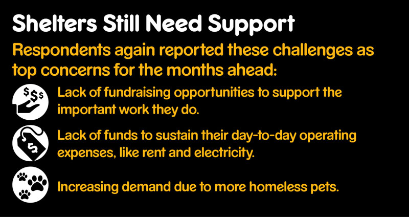 Graphic showing key concerns for shelters such as lack of fundraising opportunities.