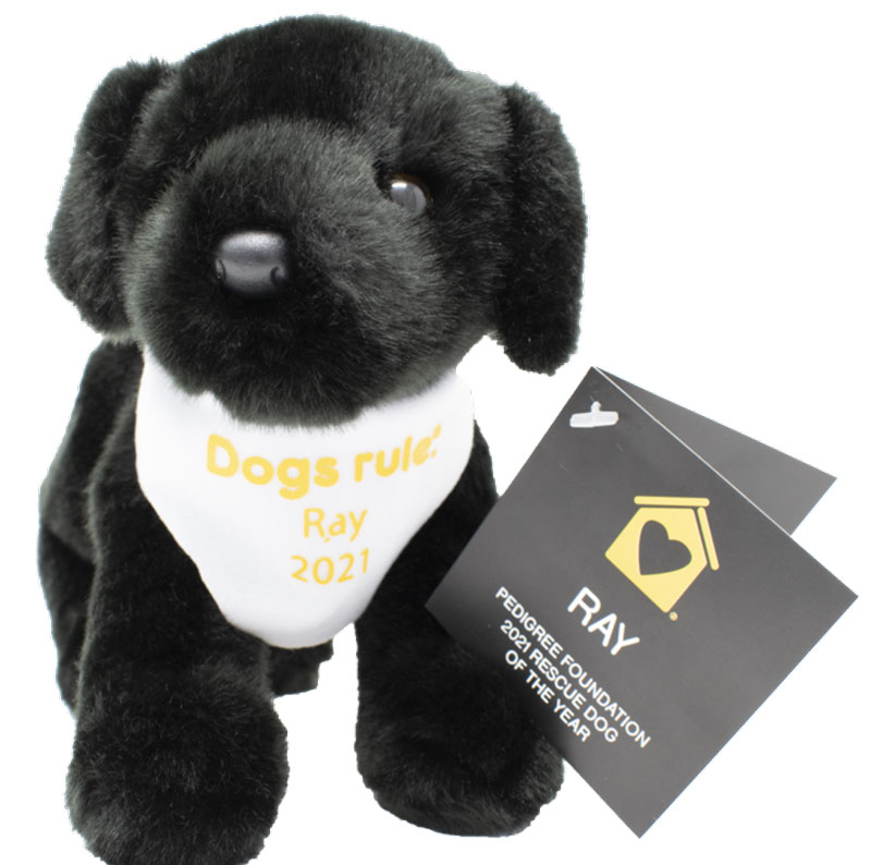 plush dog to commemorate Rescue Dog of the Year