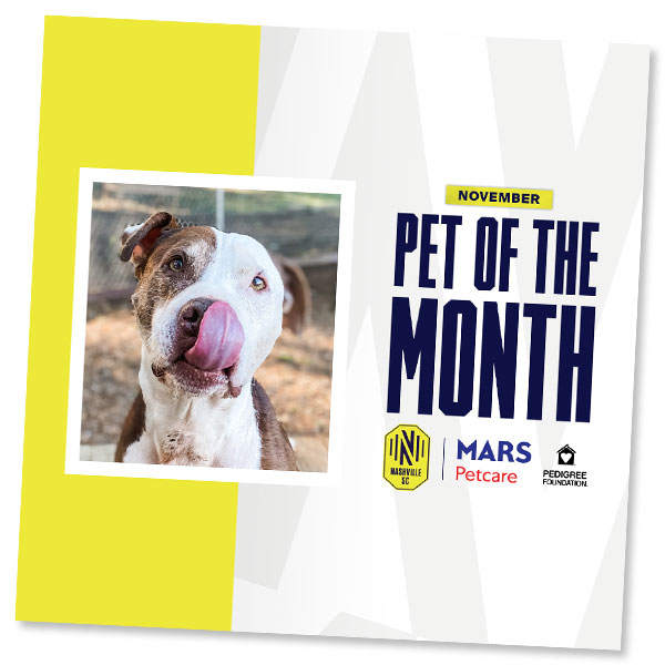 Picture of "Pet of the Month" social media post