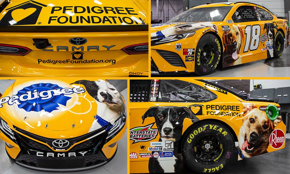 collage of photos of Kyle Busch No. 18 Toyota Camry with PEDIGREE Foundation logo and dog pictures